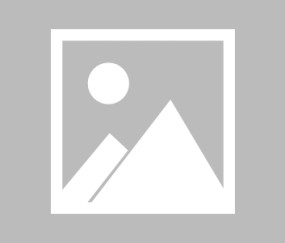 kaiyun登录-体育风云，费德勒新星回归惊艳，勇士反弹备战欧冠，蓉城单刀错失看傻球迷，体坛聚焦，费德勒回归惊艳，勇士反弹备战欧冠，蓉城单刀失误惊球迷